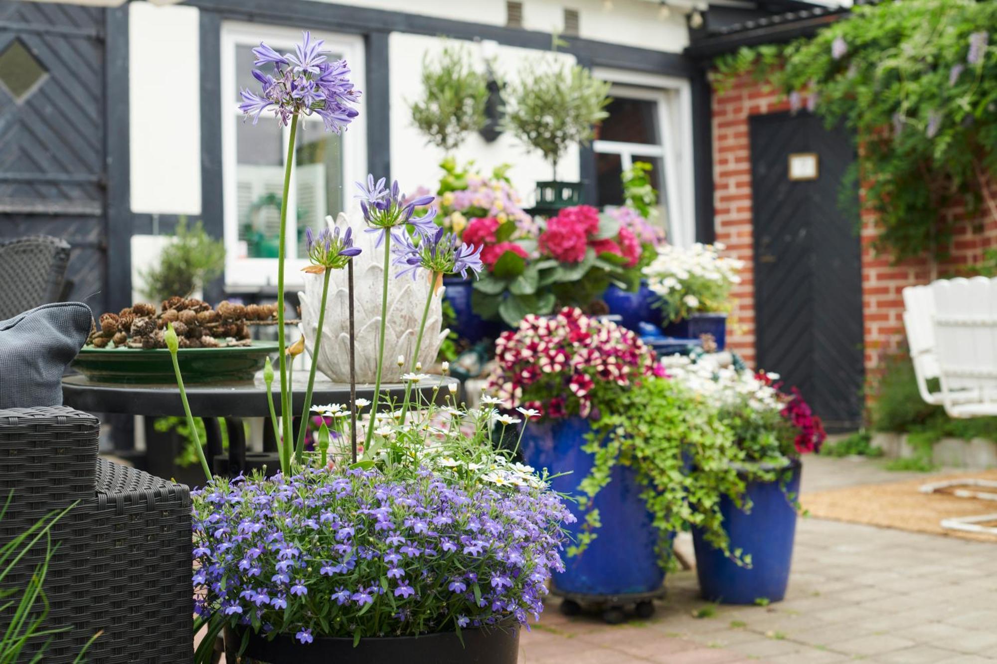 Baeckagarden Ystad